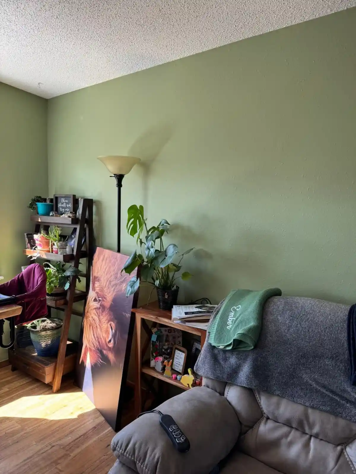 06a796f1-e7ee-43d4-9952-2ac6dd9af683.jfif